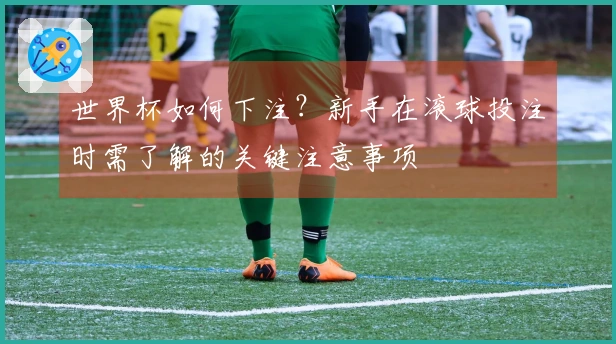世界杯如何下注？新手在滚球投注时需了解的关键注意事项